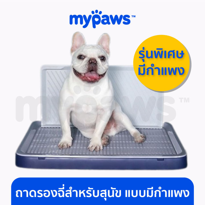 my-paws-ถาดรองฉี่สุนัข-แบบมีกำแพง-ห้องน้ำหมา-ห้องน้ำสุนัข