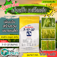 ? 7-17-37 (ปุ๋ยเกล็ดเรือใบ) ขนาด 1กิโลกรัม เร่งหวาน เร่งสี เร่งหัว เพิ่มน้ำหนัก ป้องกันผลล้ม