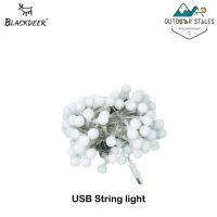 blackdeer usb string light/ใส่ถ่าน