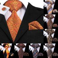 Hi-Tie Luxury Silk Brown Paisley Floral Ties for Men Tie Set Ties and Handkerchiefs Fashion Designer Business Wedding Mens Ties