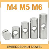 M4 M5 M6 304 Stainless Steel Cross Hole Barrel Nut Bolts Cylindrical Pin Dowel Wood Furniture Embedded Locking Long Nut