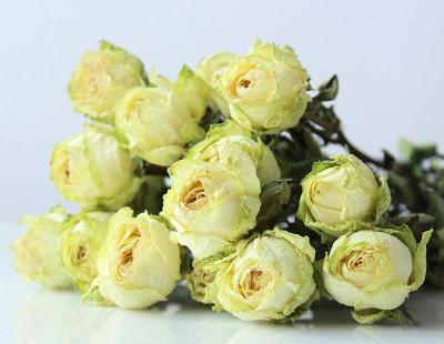 [AYIQ Flower Shop] 10สาขาเกรด AA กุหลาบแห้งดอกไม้ประดับบ้านช่อดอกไม้หลากสีแห้ง Rugosa ดอกไม้ประดับ