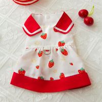 Red Strawberry Full Print Pet Dress Summer Lapel Puppy Skirt Teddy Two-legged Clothing  Cute Dog Clothes XS-XL Clothing Shoes Accessories Costumes