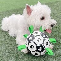 【CW】 Dog Interactive Football With Grab Tabs Outdoor Training Soccer Bite Chew Balls