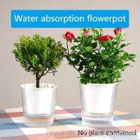 【hot】●☊▤ Design Lazy Flowerpot Transparent Absorbing Room Desktop Decoration New Type