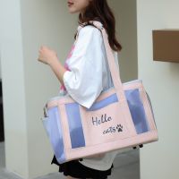 ▽☊ Transport Handbag