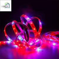 ไฟ LED ส่องสว่างเต็มสเปกตรัมยาว5เมตร LED Strip 5050 UV IR ดอกไม้พืช Phyto โคมไฟสำหรับเรือนกระจกปลูกพืชไฮโดรโปนิก