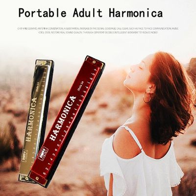 Professional 24 Holes Harmonica C Key Metal Harmonica Woodwind Instrument for Beginners With Box 5 Color Dropshipping
