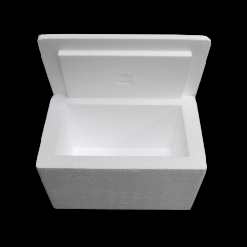 Big Styrofoam For Fish Packaging. Lazada