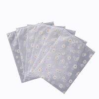 10pcs Matte/Frosted Plastic Packaging Zipper Bags T Shirt Swimwear Zip Lock Clothing Bags