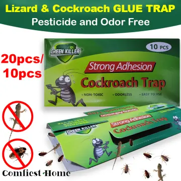 DPK Lizard Trap, Multicolour - 2 sets (contains 4 trap) : : Garden