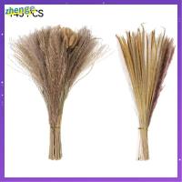 ZHENGE การจัดดอกไม้อุปกรณ์ประดับงานแต่งงานดอก Phragmites หญ้าหางกระต่ายสีขาวผสมตามธรรมชาติช่อดอกไม้หนานุ่มขนาด17นิ้วดอกทุ่งหญ้าเทียมสไตล์โบฮีเมียนแห้ง