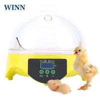 WINN Mini 7 Eggs Incubator Fully Auto Digital LED Chicken Duck Hatcher Egg Incubator Hatching Machine kids Gift Teaching aid