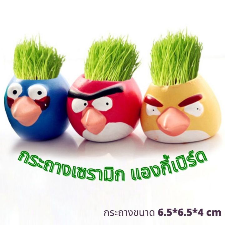 kk-ตุ๊กตาหัวหญ้า-เซรามิก-ขวดแก้ว-ราคาชิ้นละ-garden-mini-ต้นไม้จิ๋ว-ชุดปลูกต้นไม้จิ๋ว-มินิพืช-diy-ชุดปลูกผัก-ของขวัญ-ของฝาก-ของชำร่วย