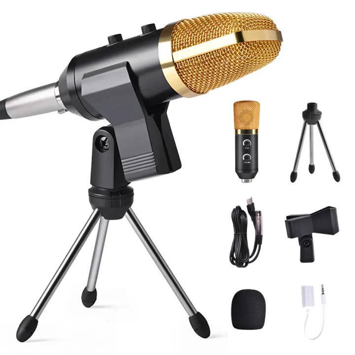 Professional Condenser Microphone with Reverb High-Quality Powerful  Adjustment Live Microphone Internet Celebrity Anchor Professional Recording  Studio Mic for Youtube K Song Microphone Set Equipment | Lazada PH