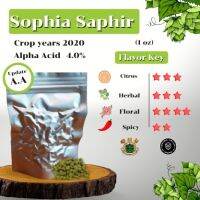 Sophia Saphir Hops (1oz) Crop years 2020 (บรรจุด้วยระบบสูญญากาศ)