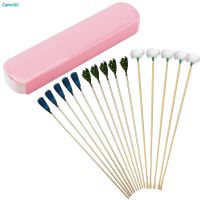 Ear Massage Set Earwax Cleaner Kits Stainless Steel Earpick Wax Remover Luminous Ear Pick Curette Goose Ear Pick Ear Clean Tool