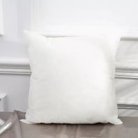 White pillow replacement core Comfort pp cotton hug pillow core pillow fill 45x45cm home decor neck guard fluffy pillow