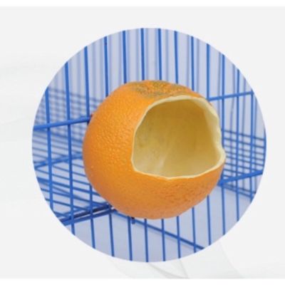 [ส่งฟรี] พร้อมส่ง !! ที่ใส่อาหารนกแก้ว รูปส้ม สำหรับติดกรง
