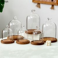 Preserved Flower Glass Cover Dust Cover Wooden Pallets Display Stand Ornament Crafts Decorative Stand Desktop Decorative Shelves