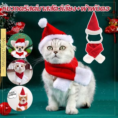 【Dimama】CODหมวกคริสต์มาสสัตว์เลี้ยง ผ้าพันคอ เครื่องแต่งกายหมาแมว เสื้อผ้าสัตว์เลี้ยง ของขวัญคริสต์มา หมวกคริสต์มาส S/M/L