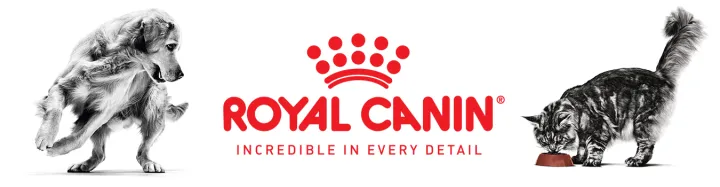exp-9-24-royal-canin-vet-early-renal-cat-3-5-kg-อาหารแมวโรคไตระยะเริ่มต้น