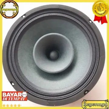 Speaker ads 10 sales inch full range