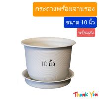 แนะนำ? กระถางต้นไม้ มินิมอล ขนาด 10นิ้ว พร้อมจานรอง ขาว/อิฐ