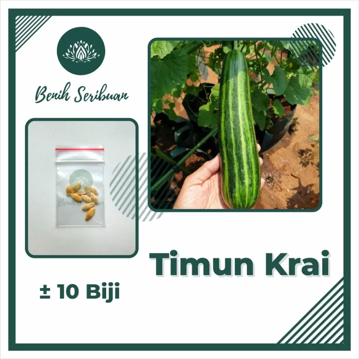 10 Bibit Timun Krai Safari Super Benih Sayuran Tanaman Mentimun Sayur