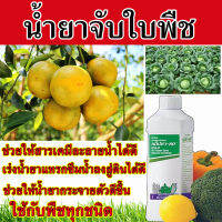 ?ของแท้ ส่งในไทย? สารกำจัดศัตรูพืชผัก ชนิดฉีดพ่น (สูตรเข้มข้น )ยาฆ่าแมลง สำหรับสารกำจัดแมลงต่างๆ, สารกำจัดเชื้อราชนิดต่างๆ, ในพืชผักผลไม้ ไม้ดอก แคคตัส หรือพืชทุกชนิด ขนาด (1ลิตร)