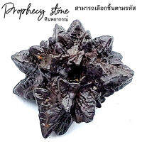 หินพยากรณ์ , พรอฟฟีซี สโตน (Prophecy Stone-Hematite After Marcasite) อียิปต์ สามารถเลือกชิ้นที่ต้องการได้