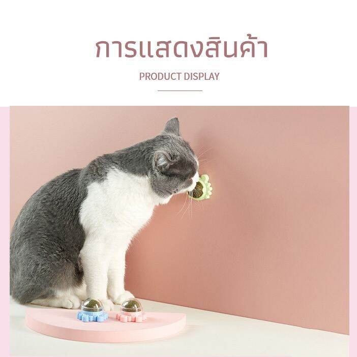 ลูกบอลแมว-แคทนิปบอล-ติดกำแพง-ไม่กลิ้งหาย-catnip-ball-ของเล่นแมว