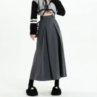 【CC】 A-line Skirt Womens College Waist Pleated Mid Length Femal