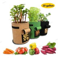 10 Gallon Plant Grow Bags Home Garden Potato Pot Vegetable Growing Bags Moisturizing Jardin Vertical Garden Bag Tools 17TH