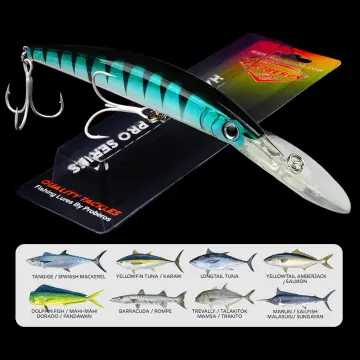 Shop Artificial Bait For Fishing Full Set with great discounts and prices  online - Jan 2024