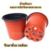 พร้อมส่งกระถาง แยกพอต กระถางแบบบาง เพาะ/แยก กระถางดอกไม้ เหนียวทนทาน