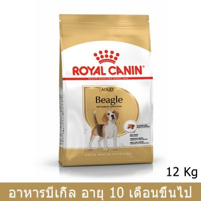 [12kg] Royal Canin Beagle Adult Dog Food รอยัล คานิน อาหารสุนัขโต พันธุ์บีเกิ้ล อายุ 12 เดือนขึ้นไป 12 กก.