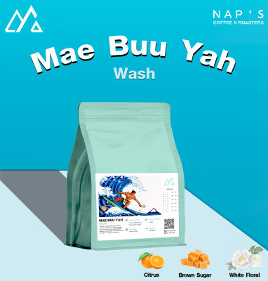 NAPSCOFFEE เมล็ดกาแฟปางขอนคั่วอ่อน Mae buu yah  - Wash 200G