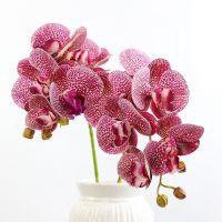 1 bunch (6 heads) plastic Butterfly orchid used for home decoration wedding decoration flower