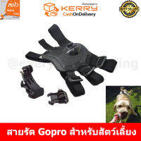 GoPro Buyanyway ชุด Gopro/SJCam/Xiaomi YI  For Dog ไว้ใช้กับสัตว์เลี้ยง