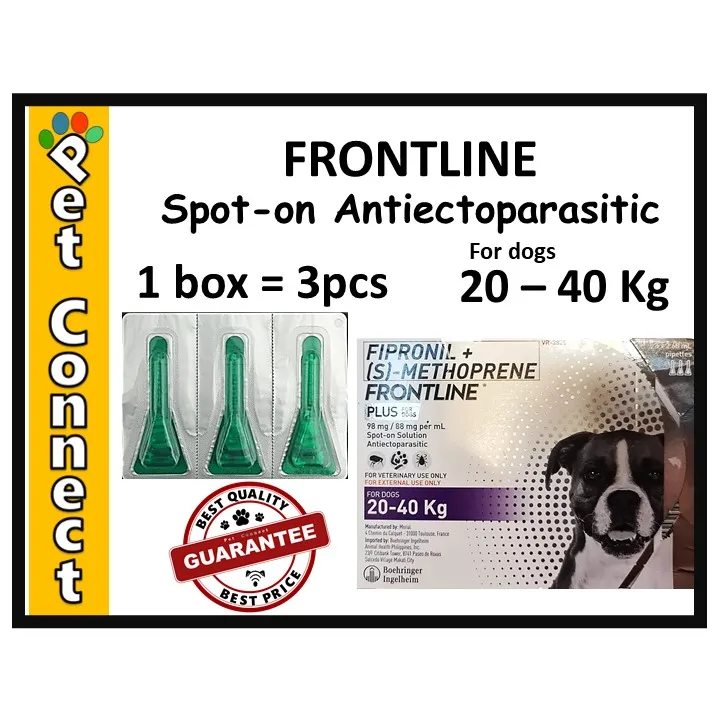 will frontline kill mites on dogs