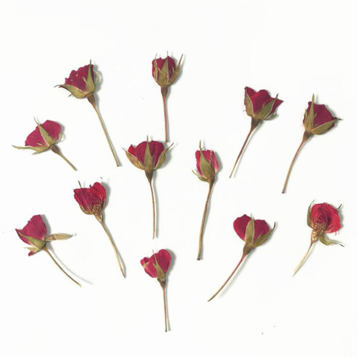 12pcs-lot-real-dried-rose-flower-diy-home-ornament-uv-resin-mold-jewelry-making