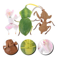 3PCS แบบจำลองการจำลองที่สมจริงแบบจำลองแมลงพลาสติกจำลอง Mantis Model Model Model Model Model Kids Mantis Model Model Toy