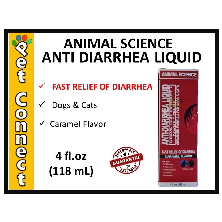 how to stop diarrhea in a dog fast