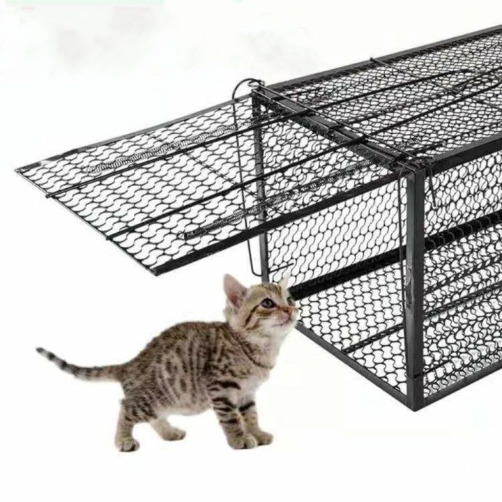 ที่ดักหนู-แข็งแรง-mouse-cage-cat-cage-กับดักกระรอก-กระแต-กรงดักหนูนา-มีบริการเก็บเงินปลายทาง