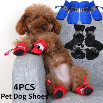 Dog store shoes lazada