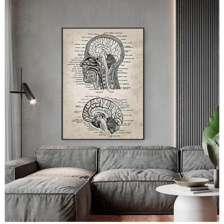 Anatomy Painting Doctors Office Wall Art Decor Vintage Human Head and