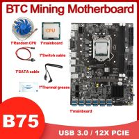 B75 12USB BTC Miner Motherboard+CPU+Fan+Thermal Grease+Switch Cable+SATA Cable 12USB3.0 to PCIE LGA1155 DDR3 Slot MSATA