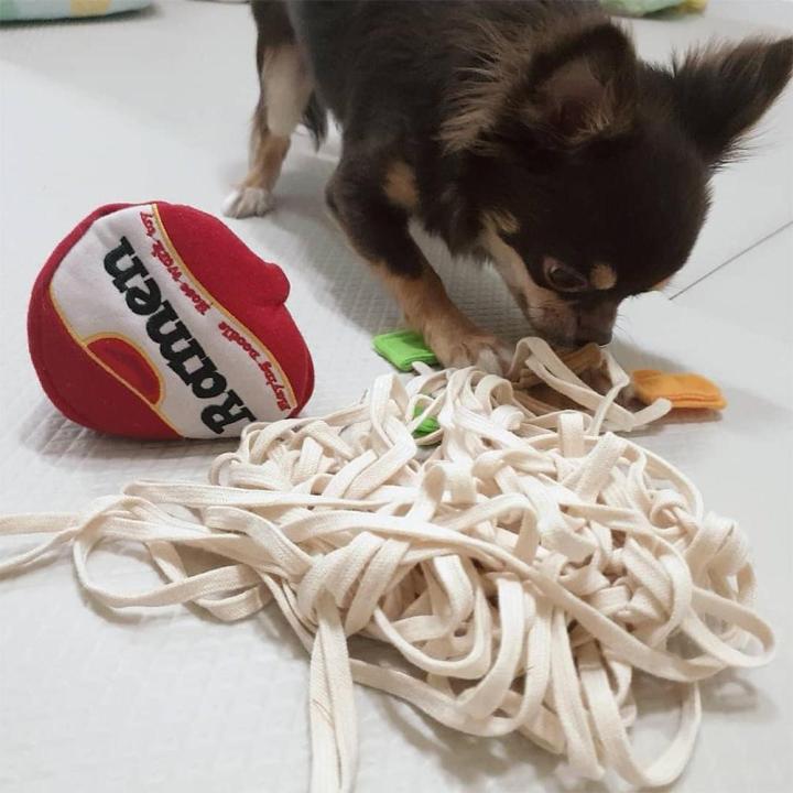 2023-new-interactive-ramen-dog-toy-nose-job-noodle-toy-toy-food-hide-medium-for-small-dogs-dispenser-cup-smell-h8k5