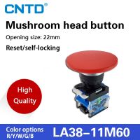 CNTD Momentary Big 60mm Mushroom Cap Push Button Switch Self Reset No Lock Round 1NO1NC button Silver contact 22mm LA38-11M/60